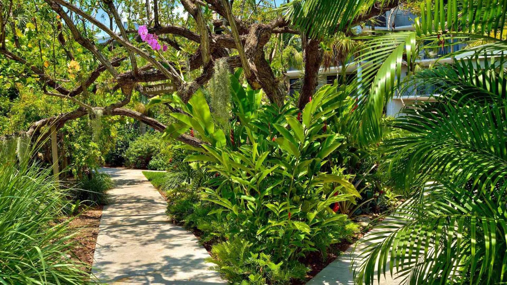 קי וסט Riviera Americana By Last Key Realty מראה חיצוני תמונה